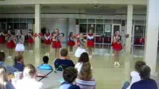 20082009 South Garland Dixie Darling Pom Routine [upl. by Affrica]