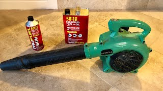 BEST GAS LEAF BLOWER ON THE MARKET [upl. by Donielle]