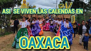 así se viven las calendas en Oaxaca [upl. by Eon]