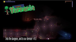 Into the dungeon and to our demise  Expert mode Terraria 11 [upl. by Akcimehs]