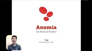 Anemia — Part 1 Introduction and Underproductive Anemia [upl. by Ahseek]