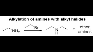 Alkylation of amines with alkyl halides [upl. by Allis]