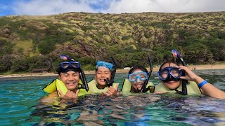 Guided Snorkeling with Hanauma Bay Dive Tours [upl. by Redneval68]