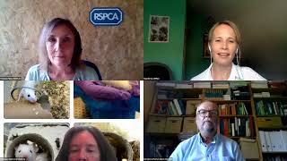 EFPIARSPCA webinar on Animal Welfare Body  A catalyst for progress [upl. by Mailli]