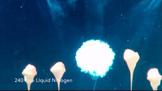 Underwater Explosions  Slow Motion Dry Ice Bomb [upl. by Janos]