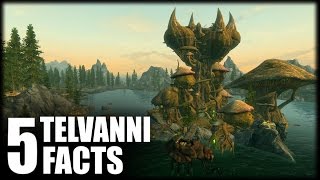 Skyrim  5 Telvanni Facts  Elder Scrolls Lore [upl. by Meakem]