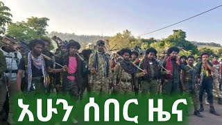 ethio news zena ኢትዮ ኒውስ ዜና November 3 2024 [upl. by Fabron885]