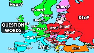 European Languages COMPARISON  Question Words [upl. by Acinoreb]