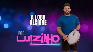 LUIZINHO 🎤 A LOBA  Alcione cantorluizinho lobaalcione shorts [upl. by Llib838]