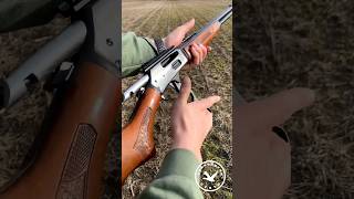 Карабин Marlin 336 Кал 3030 Winchester охота hunting охотник hunt huntingrussia huntting [upl. by Greeley]