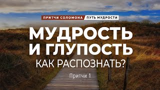 Путь мудрости 1 Мудрость и глупость Как распознать  Пр 1  Андрей Зубарев [upl. by Tomi]