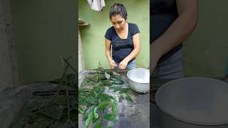 Preparando GUAYUSA 🌿 PARTE 1 campo guayusa cocina [upl. by Onimixam400]