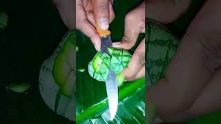 Best watermelon🍈cutting skills shorts food watermelone viralvideo [upl. by Allanson]