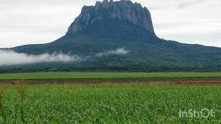 El tamaulipeco Soy Puro Tamaulipeco En Vivo Huapangueros de Hualahuises [upl. by Ahsekan112]