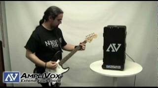 Guitar Amp and Portable PA System Great for Live Sound  Wireless Bass Amplifier [upl. by Pickett129]