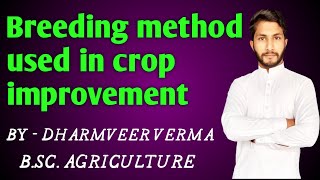 Breeding method used in crop improvement [upl. by Rheba27]