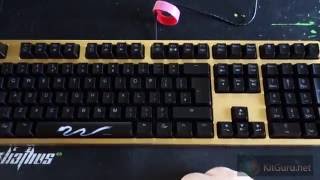 Ducky Shine 3 DK9008 Tuhaojin Gold  keyboard LEDs [upl. by Dnomaj]