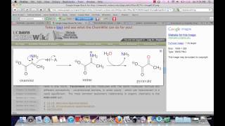 Imine amp Enamine Tautomerization [upl. by Nylanej]