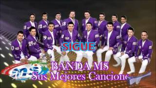 Banda MS Sigue 2013 [upl. by Annadroj294]