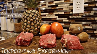 Steak TENDERIZING EXPERIMENT Tropical Fruit edition [upl. by Nibbor]