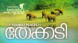 Thekkady  തേക്കടി  Travel Guide  Kerala Travel Places  തേക്കടിയിലെ മനോഹരകാഴ്ചകൾ [upl. by Aitropal]