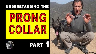 PRONG Collar Explained 1 How to Use a Prong Collar  Robert Cabral  Dog Training Video [upl. by Sinegold]