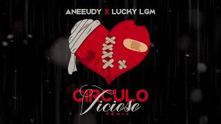 LUCKY LGM x aneeudypr  CIRCULO VICIOSO  VISUALIZER [upl. by Yelwah609]