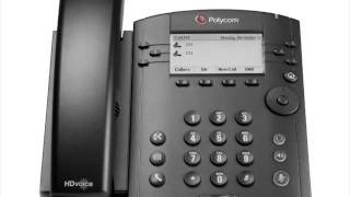 Lingo Link Polycom VVX 300 Tutorial [upl. by Yoho]