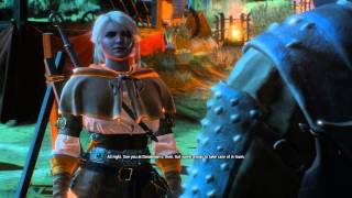 The Witcher 3 Wild Hunt Playthrough Part 55 Blindingly Obvious [upl. by Yvor293]