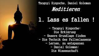 1 Lass es fallen  Meditieren  Tsognyi Rinpoche Daniel Goleman [upl. by Salangi]