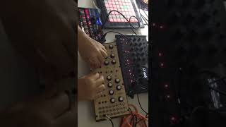 Volca nubass Drumlogue 5 Moog DFAM [upl. by Ignacio]