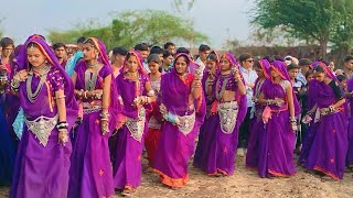 कबरियो चितेरियो मुरु उजाड़ी मा नाचे वो‼️Anil Piplaj New Timli Song 2024‼️adivasi shadi video 2024 [upl. by Fugere]