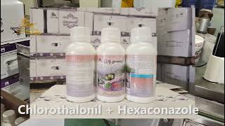 Chlorothalonil 250 GL  Hexaconazole 50 GL SC，Chlorothalonil  Hexaconazole，Mixture Fungicide [upl. by Kola901]