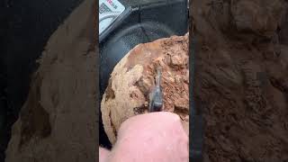 Woodturning massive cheery burl ready for epoxy [upl. by Alderman]