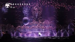 Hollow Knight  The Collector Radiant Difficulty No Damage [upl. by Hittel]