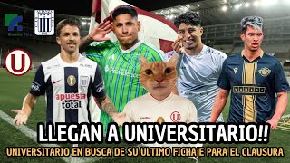 REFUERZO BOMBA DE UNIVERSITARIO RUIDIAZ 0 GABI COSTA SE APROBO LA PRIMERA LEY  ALIANZA Y GREMCO [upl. by Ahtan]