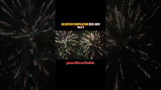 SILVESTER COMPILATION 20232024🧨  Part 4 [upl. by Ytirahc]