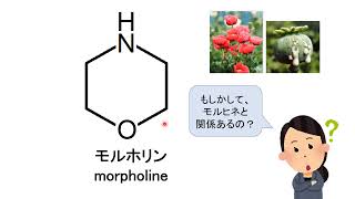 【薬の化学構造名の由来を知ろう！：医薬品化学名語源事典mini】（５）モルホリン [upl. by Eboj]