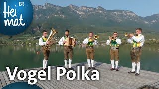 Traminer Tanzlmusig Vogel Polka  Musik in den Bergen l BR Heimat  die beste Volksmusik [upl. by Shayna]