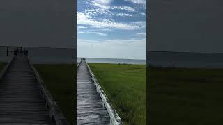 crabbing in crisfield Maryland for blue crabs crabbing bluecrab [upl. by Eat]