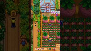 Preserve Jars vs Kegs 💰 shorts stardewvalley stardew [upl. by Aidnyl]