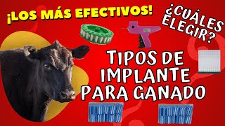 TIPOS DE IMPLANTES PARA GANADO DE ENGORDA  ¡LOS MAS EFECTIVOS [upl. by Stratton]