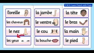 How to say Body Parts in French [upl. by Koerner]