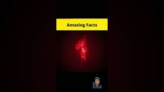 amazingfacts history tamil factsinhindi amazing factbeast animals bear [upl. by Einnok]