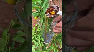 മുന്തിരിയും പാലും🍇 Grape milk recipe malayalam [upl. by Sanjay921]