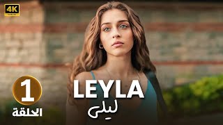 المسلسل التركي مدبلج  ليلى  الحلقة 1 Arabic Dubbed  جودة عالية 4K [upl. by Murvyn72]