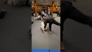 Bruno Malfacines Jiu Jitsu is beautiful bjj jiujitsu bjjblackbelt [upl. by Pascasia]