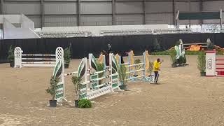 20241102 Harvest  120m JuniorAmateur Jumper  Zone 7 Final  TFJO [upl. by Neerroc]