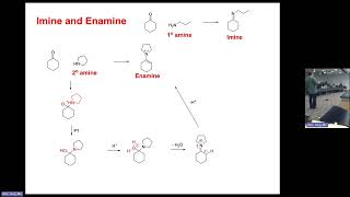 Organic Chemistry 2  Formation of imine and enamine [upl. by Durrej]