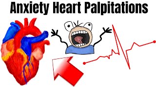 Heart Palpitation Symptoms Caused By Anxiety SCARY FEELING [upl. by Enelrae594]